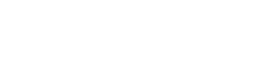 Warriors are a melee class, capable of attacking enemies or defending their allies.